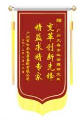 白云電氣集團(tuán)贈(zèng)送正睿咨詢變革創(chuàng)新先鋒，精益求精專家錦旗