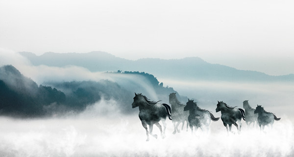 企業(yè)戰(zhàn)略規(guī)劃：為企業(yè)制定全面、長遠(yuǎn)的發(fā)展戰(zhàn)略