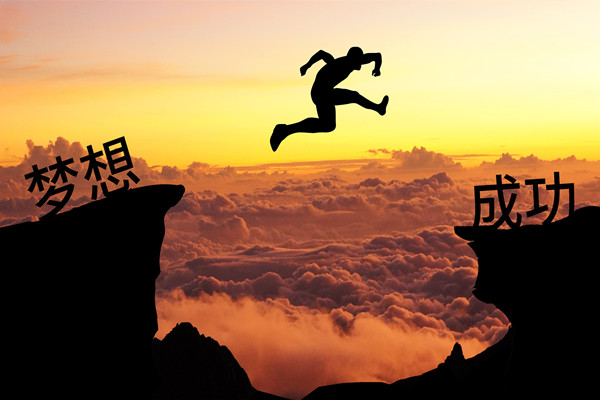 績效管理：應(yīng)對變革挑戰(zhàn)，推動組織變革成功