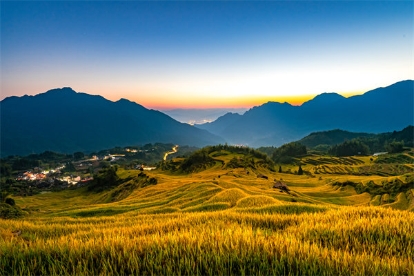 定制化管理咨詢(xún)方案：麗水企業(yè)轉(zhuǎn)型升級(jí)的鑰匙？