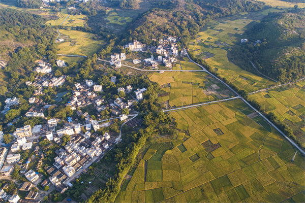肇慶預(yù)算管理咨詢公司如何為企業(yè)構(gòu)建精細(xì)化的預(yù)算體系？