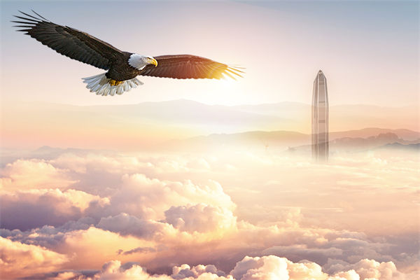 企業(yè)文化與企業(yè)管理如何協(xié)同，推動企業(yè)持續(xù)發(fā)展？