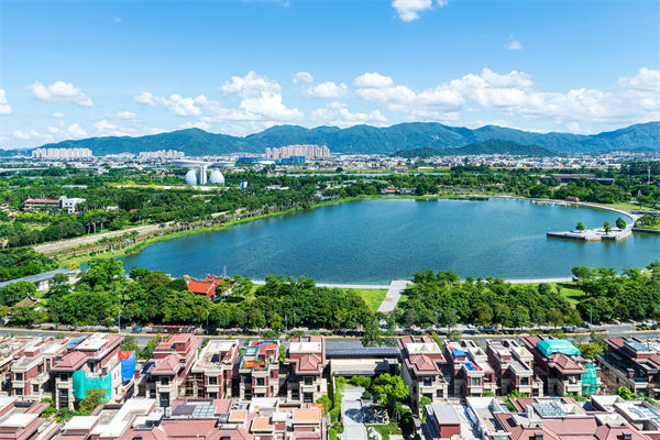 漳州戰(zhàn)略咨詢公司如何為企業(yè)定制長遠(yuǎn)發(fā)展藍圖？