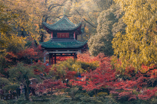 長(zhǎng)沙薪酬咨詢公司如何設(shè)計(jì)合理的薪酬結(jié)構(gòu)與體系？