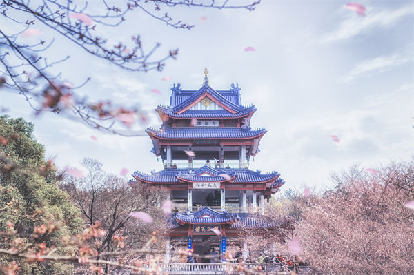 供應(yīng)鏈成本居高不下，無錫供應(yīng)鏈咨詢公司如何精準(zhǔn)砍出利潤空間？