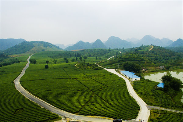清遠(yuǎn)營(yíng)銷咨詢公司深挖需求，如何為品牌打造直擊消費(fèi)痛點(diǎn)的賣點(diǎn)？