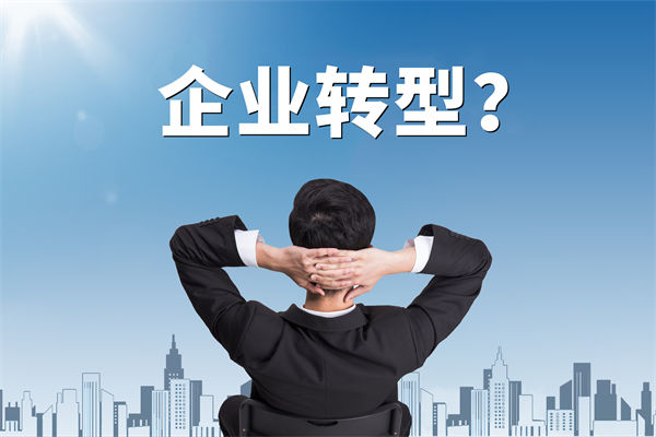 企業(yè)轉(zhuǎn)型無(wú)方向，數(shù)智化咨詢公司能否指引明路？