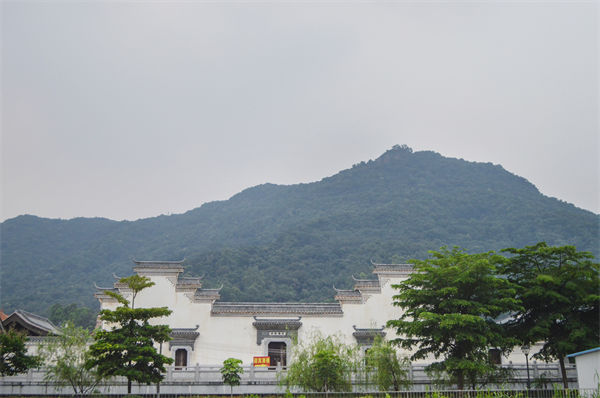 子公司各自為戰(zhàn)內(nèi)耗大，佛山集團(tuán)管控咨詢公司有何整合之道？