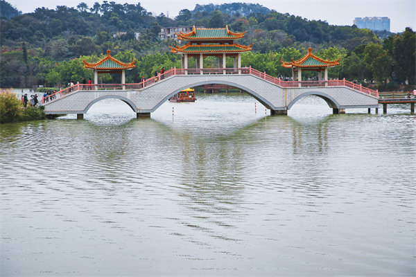 供應(yīng)鏈斷鏈頻發(fā)、交付延遲嚴(yán)重，肇慶供應(yīng)鏈咨詢公司能解嗎？