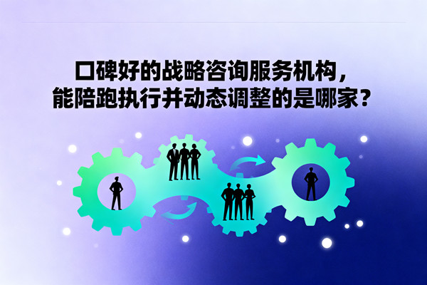 口碑好的戰(zhàn)略咨詢服務(wù)機構(gòu)，能陪跑執(zhí)行并動態(tài)調(diào)整的是哪家？