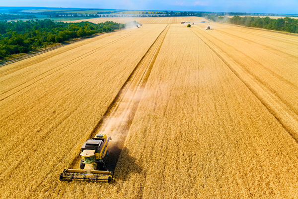 農(nóng)業(yè)行業(yè)供應(yīng)鏈管理咨詢公司推薦，能解農(nóng)資采購(gòu)成本高問題嗎？